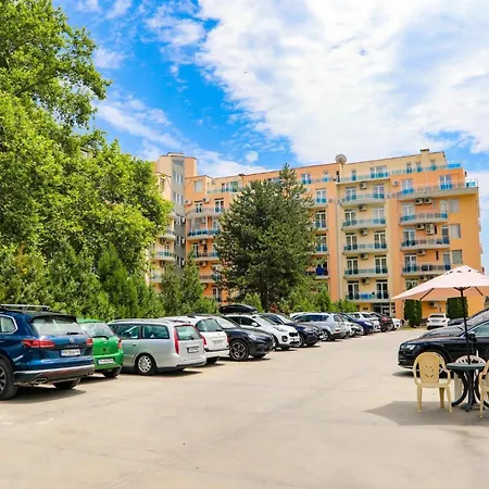 Dadi Oazis 拉夫达